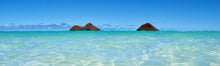 Load image into Gallery viewer, Lanikai Boardshorts